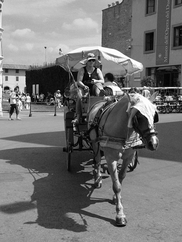 Pisa - Turisti in carrozzella