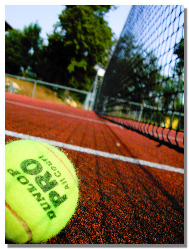 La fortuna del principiante