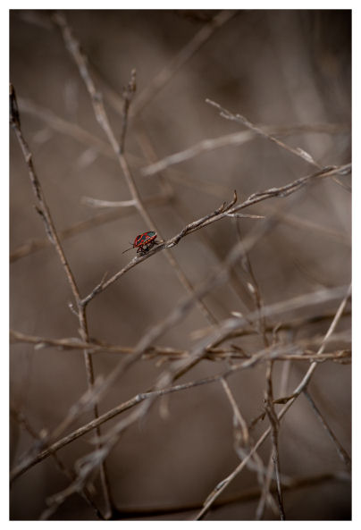 A spasso per le vie del centro