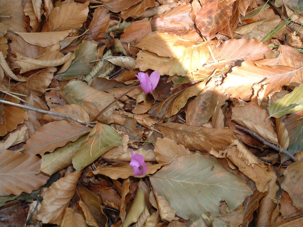 Aspettando l'ultimo raggio di sole