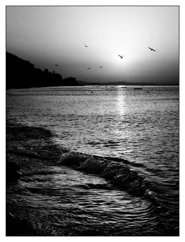 ::: ALBA FINALESE :::