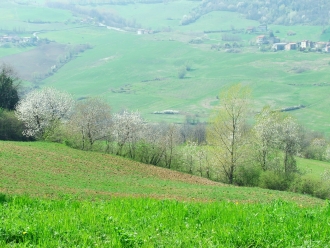 Val Nure