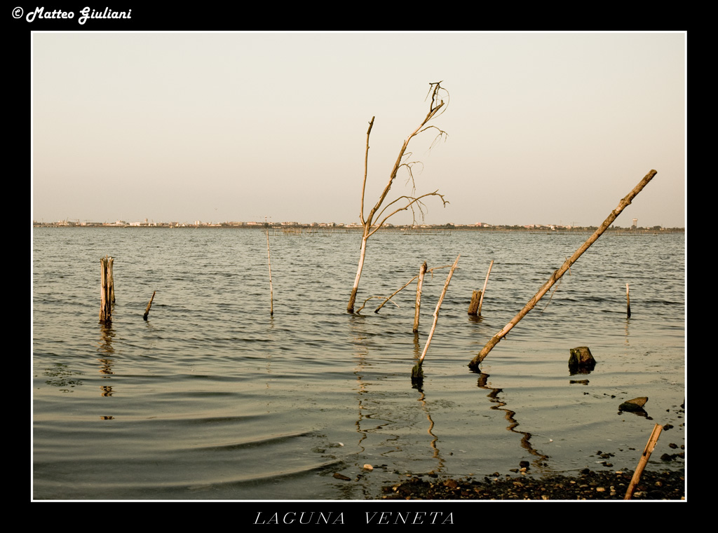 Laguna Veneta