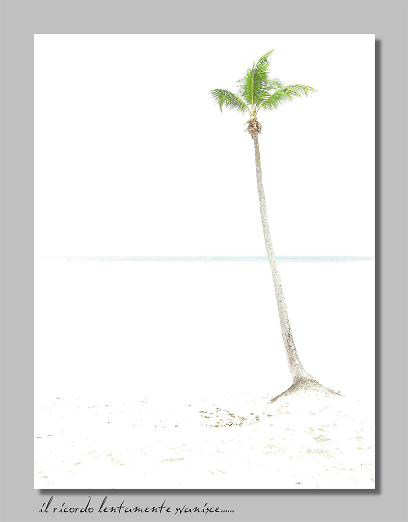 il ricordo lentamente svanisce.....