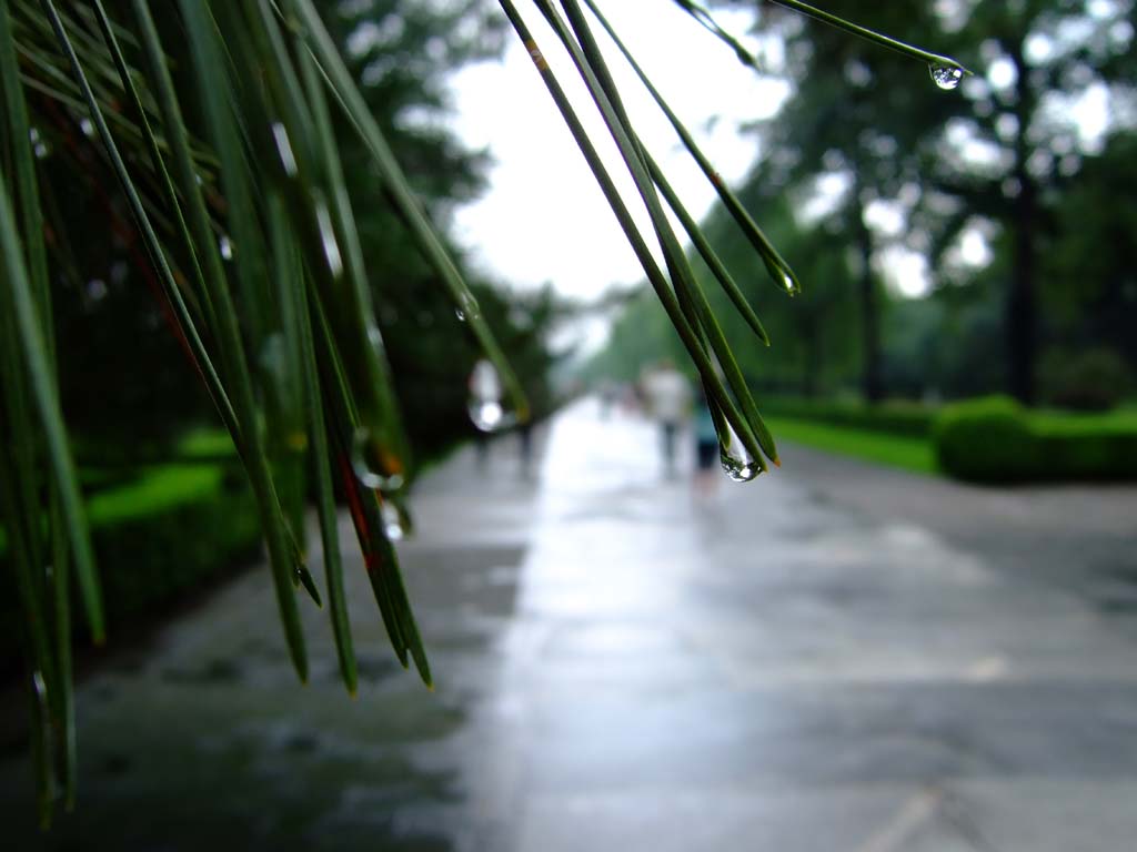 Gocce sulla Via Sacra