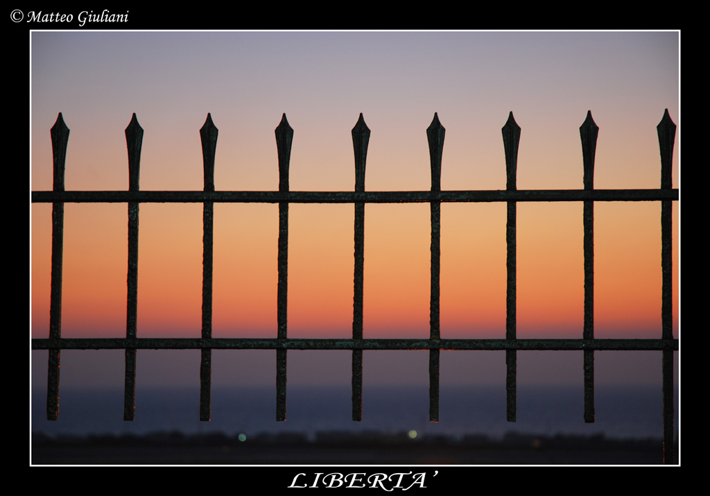 Libert�