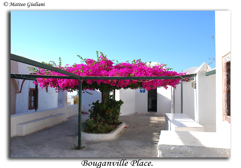 Bouganville Place