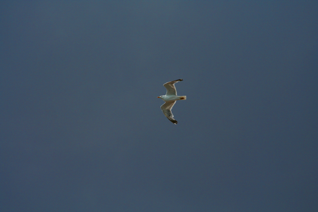 In volo dopo la tempesta