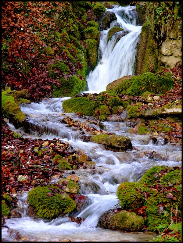 L'acqua tra i colori