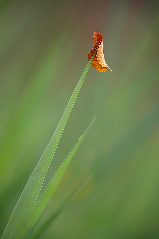 Una macro...... diversa.....