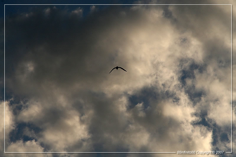 :: Nubi minacciose...