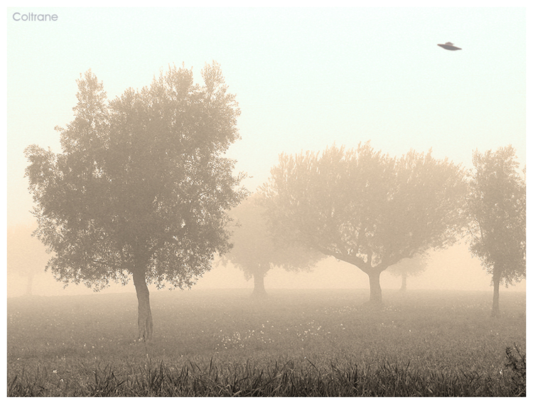 Insolito mattino di novembre