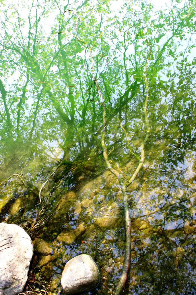 I colori dell'acqua