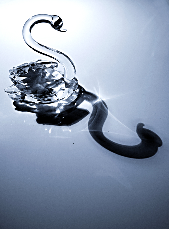 Il brutto anatroccolo