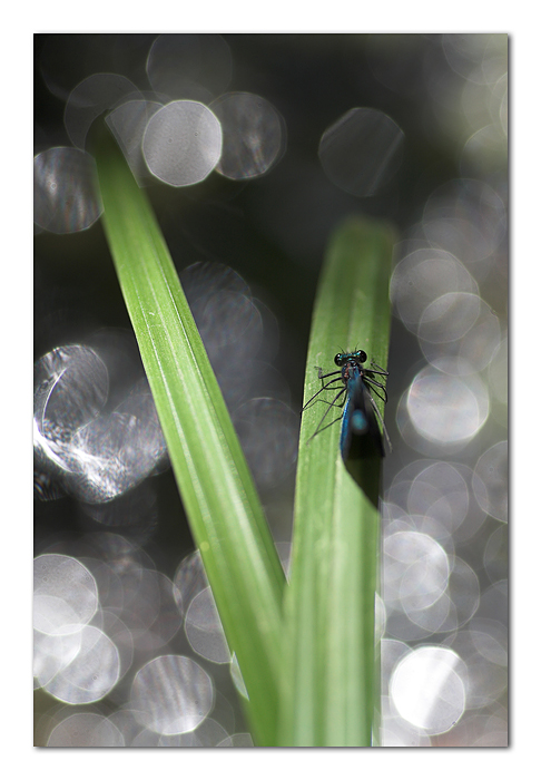 Forse ho esagerato col flash...