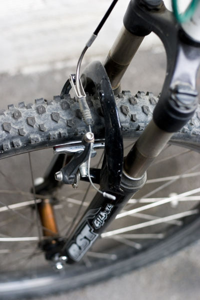 Candida compagna d'avventure