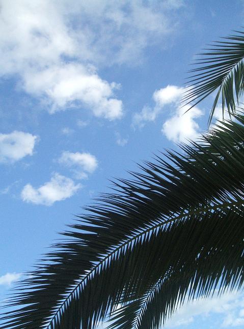 ancora voglia di mare