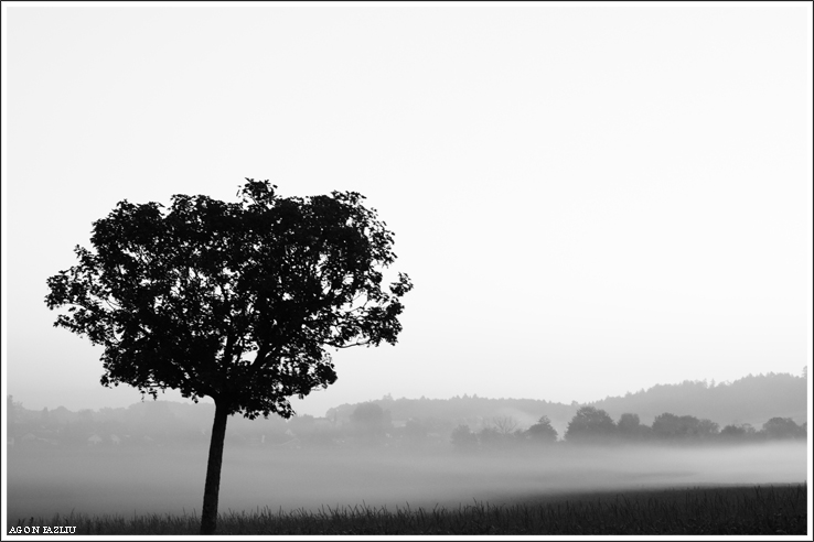 time of hitchcock ....