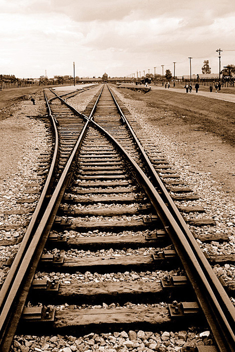 Birkenau: la fine del viaggio