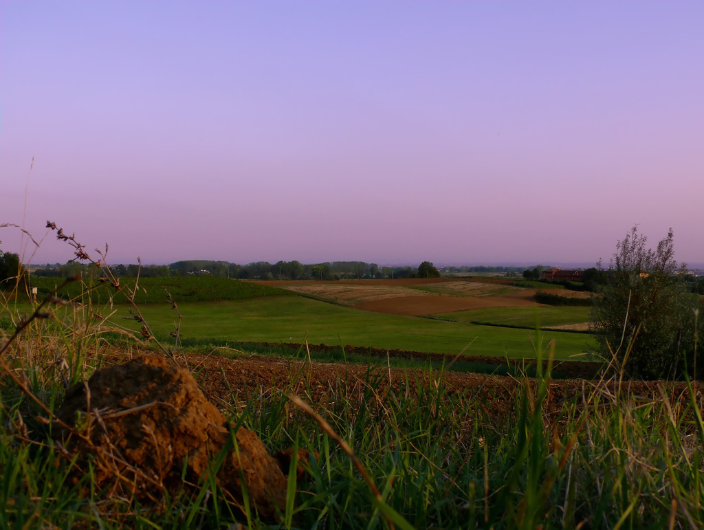 Colline sotto il cielo rosa