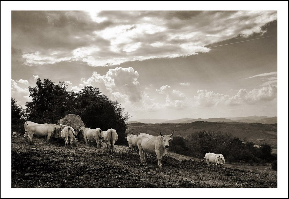 Colline senza tempo...