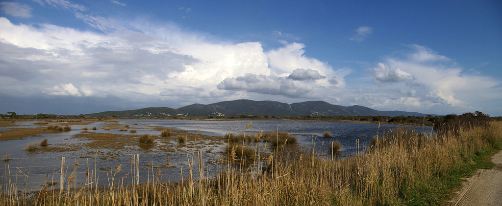 panorama parco dell'uccellina