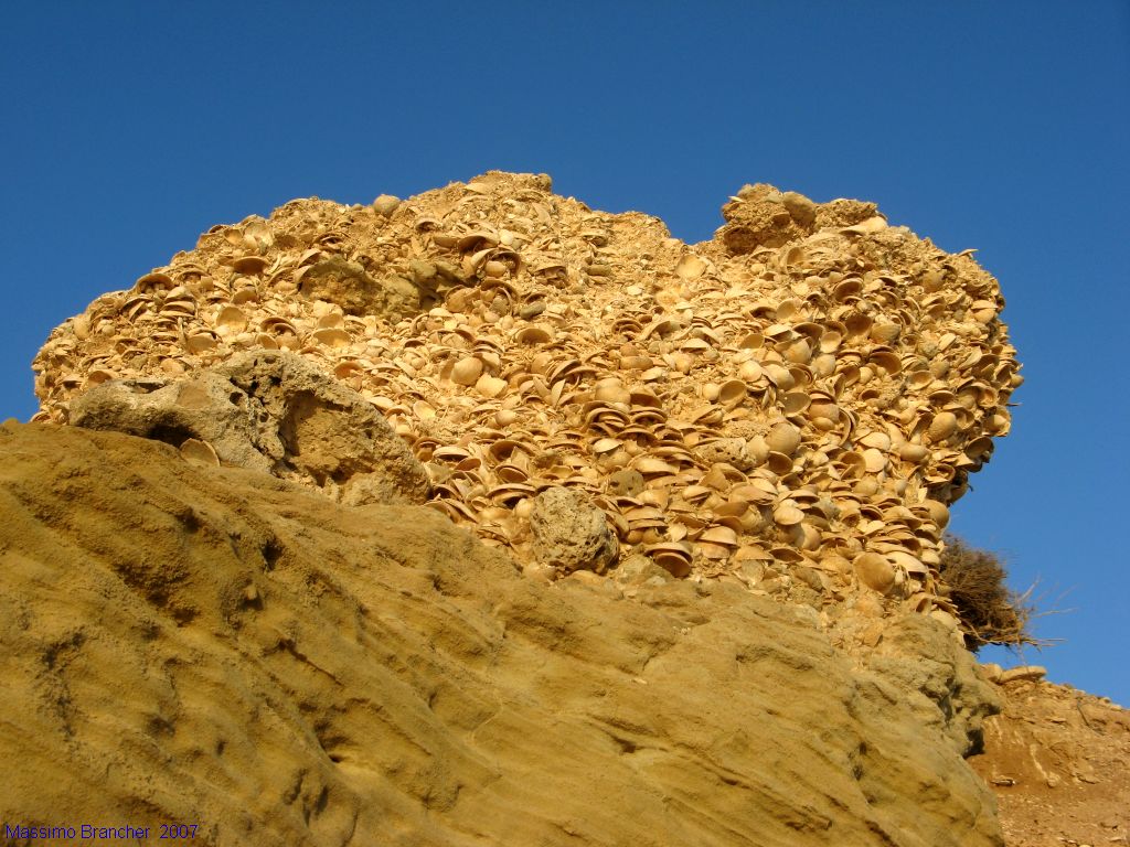spiaggia delle conchiglie