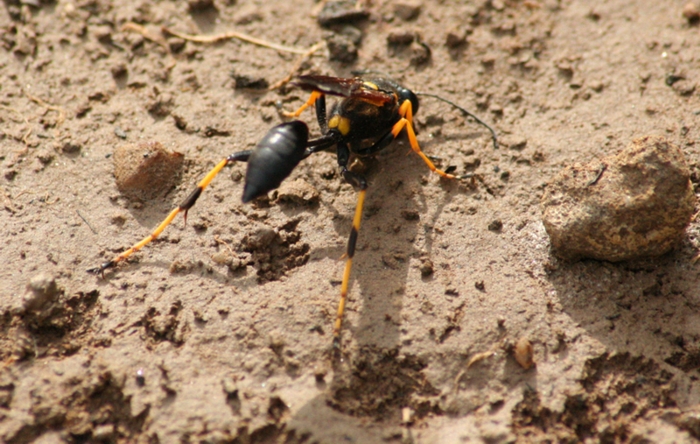 Ho seteeeeeeeeeee!!!!