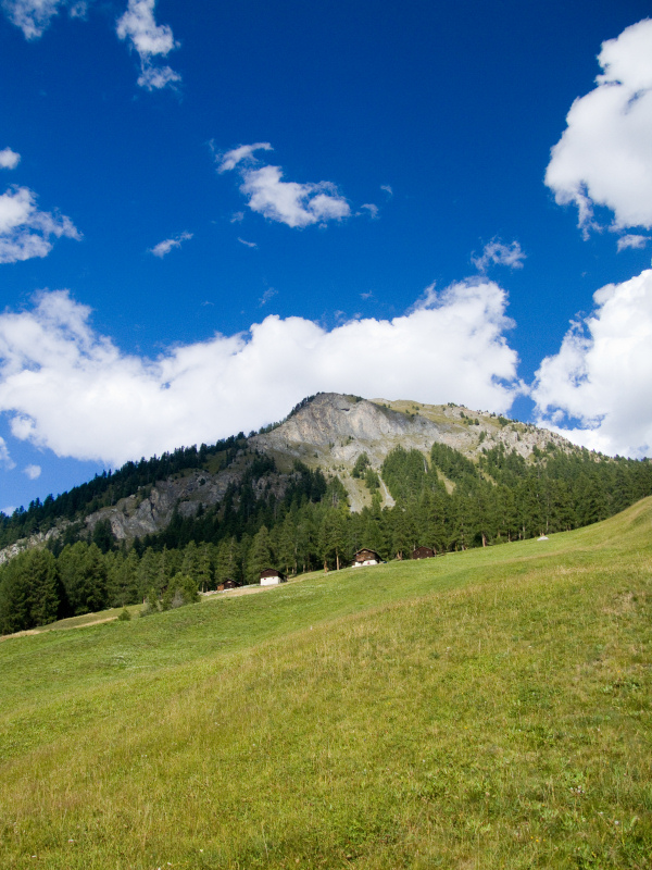 semplice paesaggio alpino