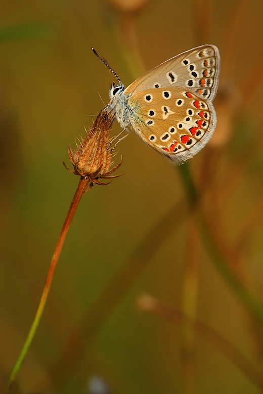 Al sole della Toscana...