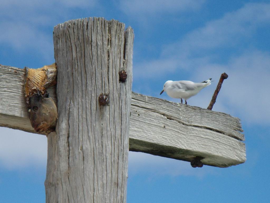 ....senza parole....