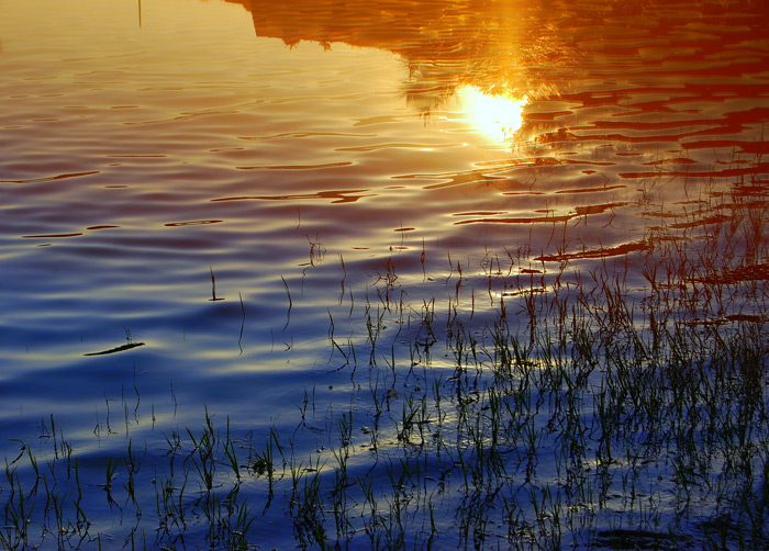 "il sole muove le onde..."