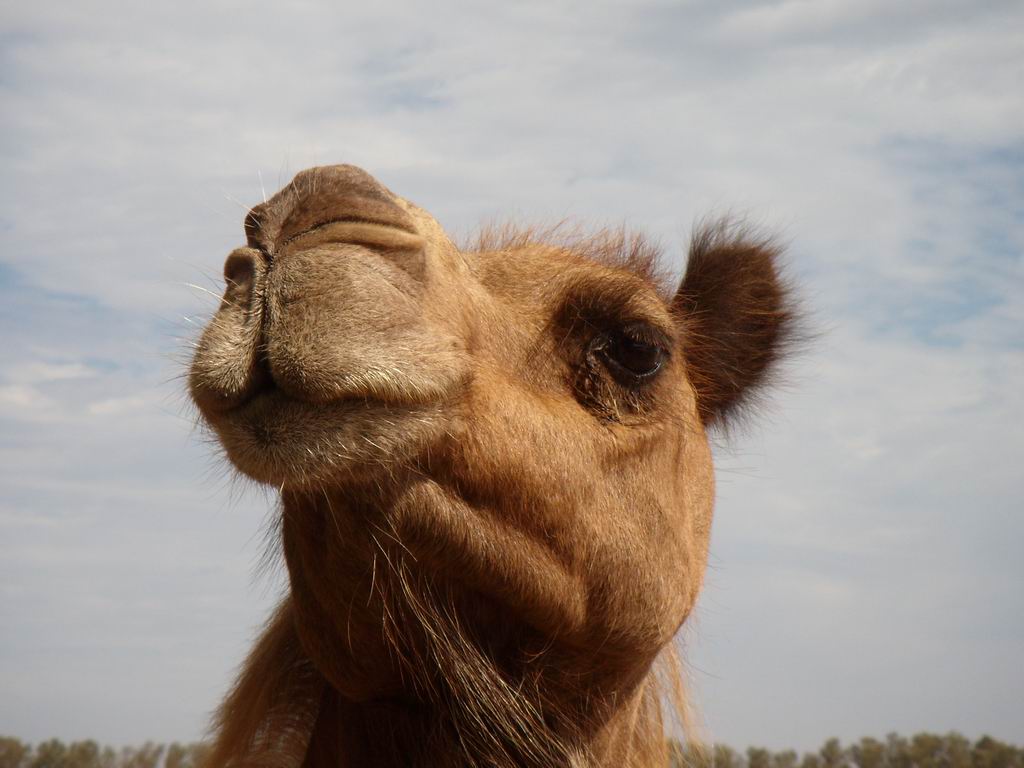 bisogno qualcosa????