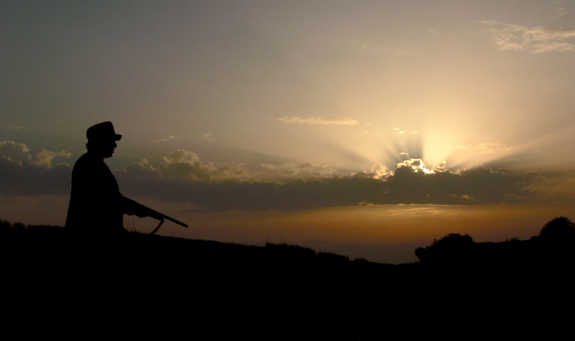 Caccia all'alba