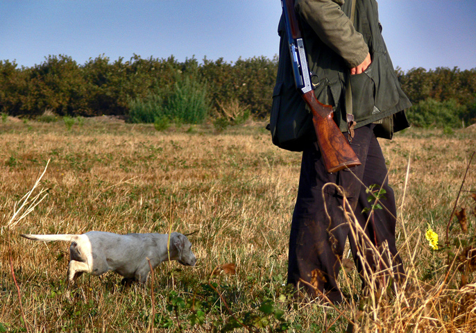 Il cacciatore e il suo compagno