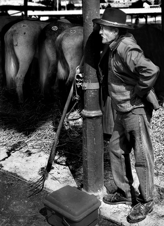 I Pensieri del Maniscalco