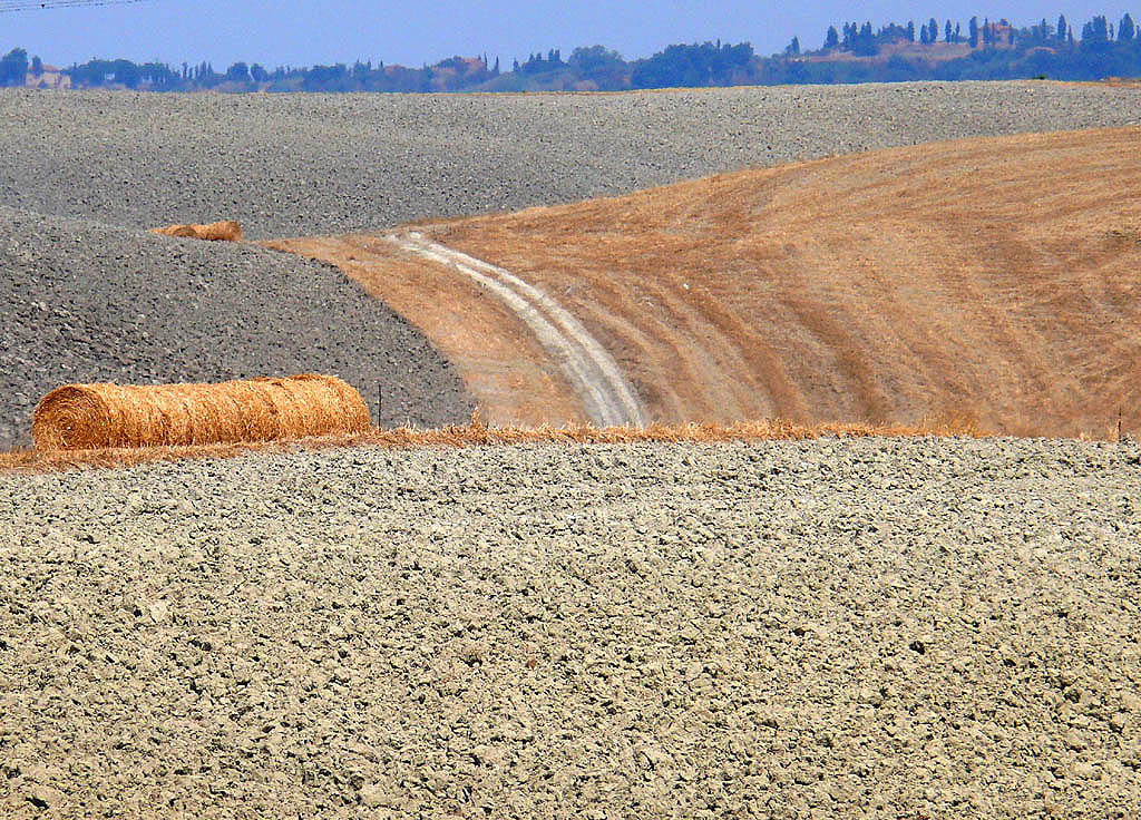 terre di Toscana 3