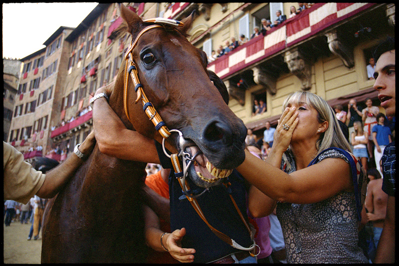 Palio di Siena -  La festa del Leocorno