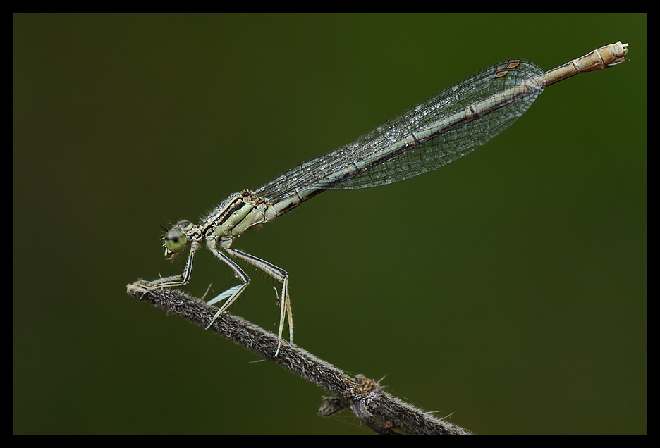 Primo approccio con 40D