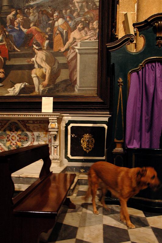 -E tu, che ci fai qui!?-  -Me ne vado, me ne vado...-