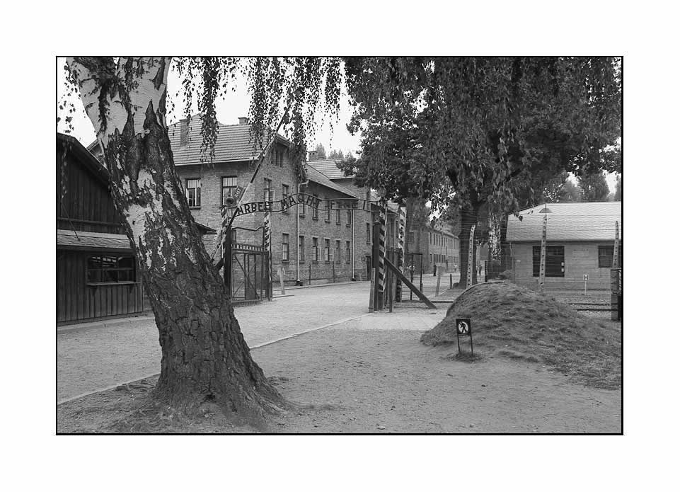 La fabbrica della morte