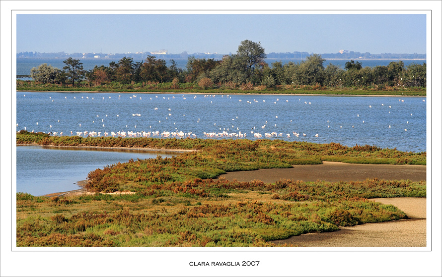 "La mia Africa" ... sotto casa