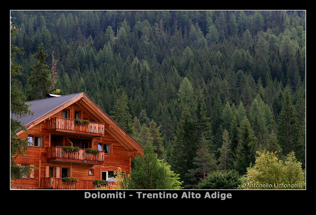 ....immersa nel verde