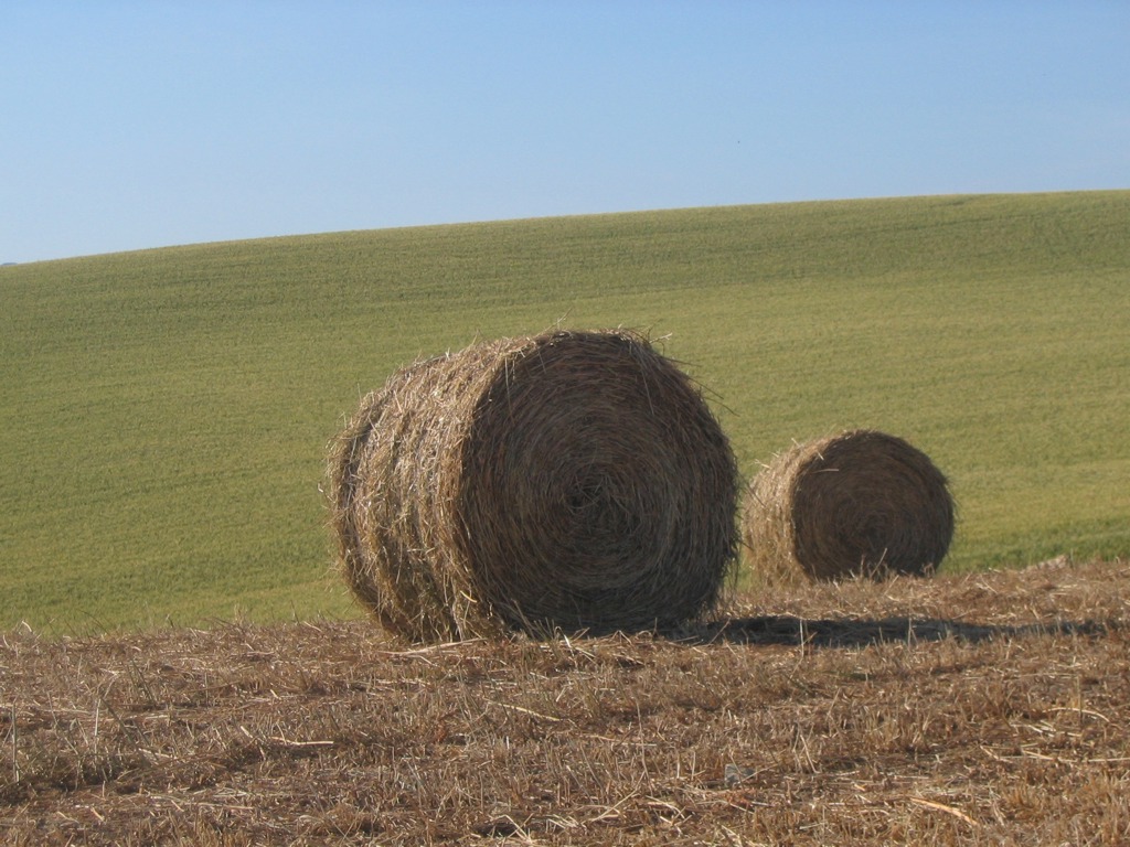 Le colline Toscane