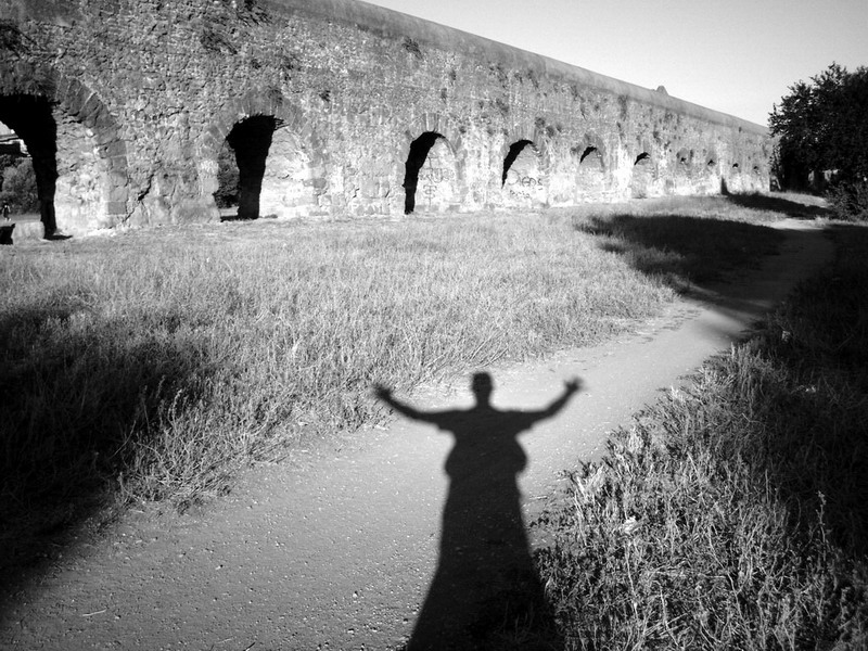Shadow King