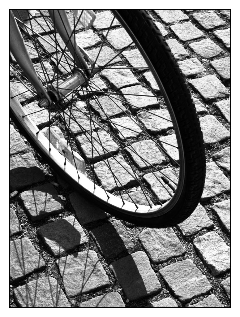 Ruota di bicicletta
