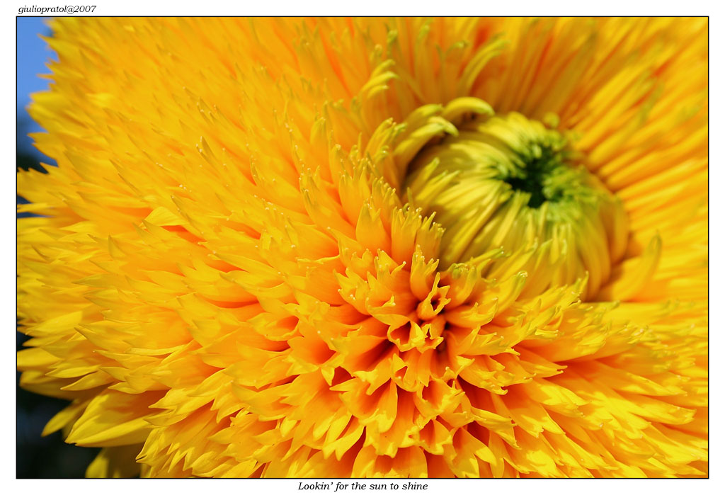 Lookin' for the sun to shine