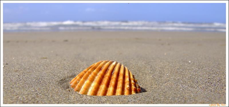 Solitaria sulla Sabbia Striscia