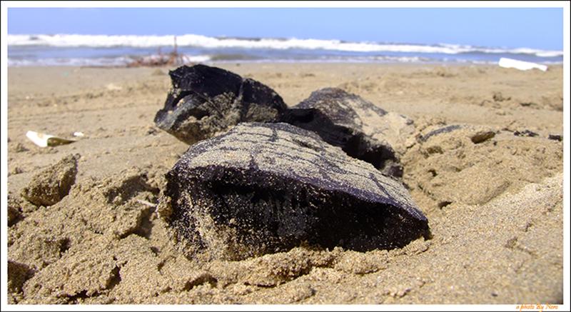 Bruciare sul Bagnasiuga e Morire