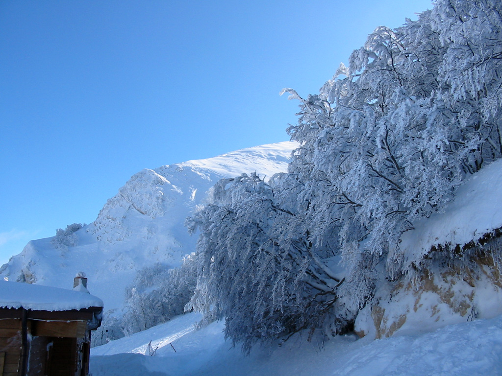 Appena sceso...dalla seggiovia!
